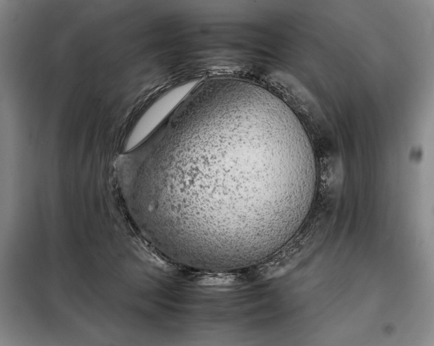 X0000098220369200805011239