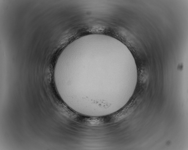 X0000098220370200805011239