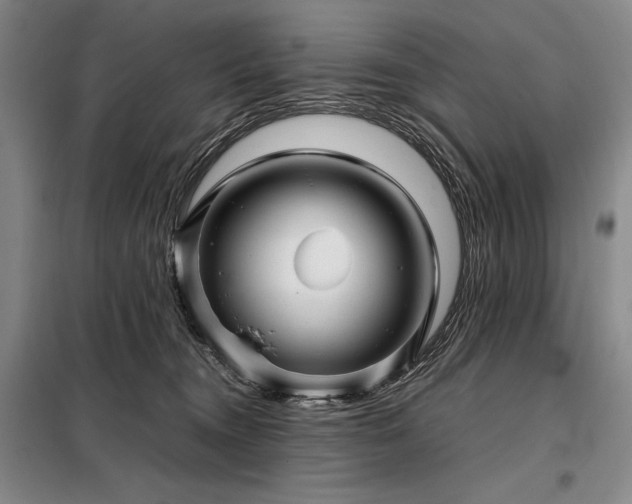 X0000098220372200805011240