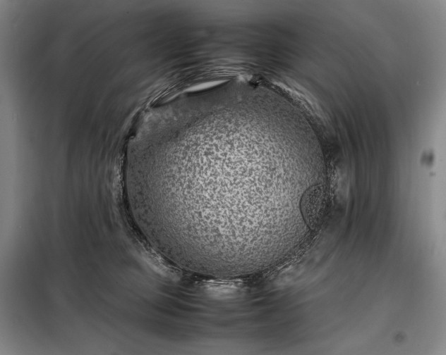 X0000098220373200805011240