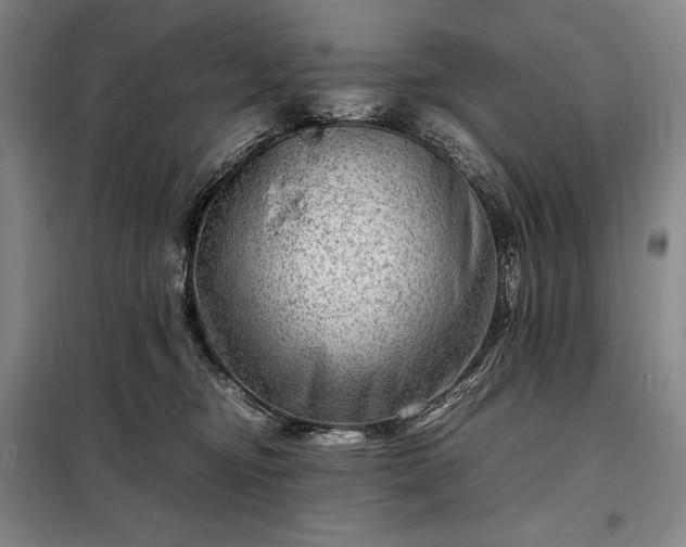 X0000098220374200805011240