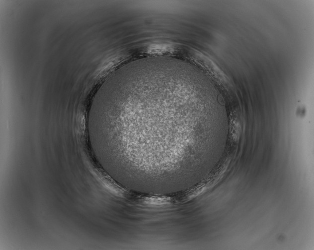 X0000098220375200805011240