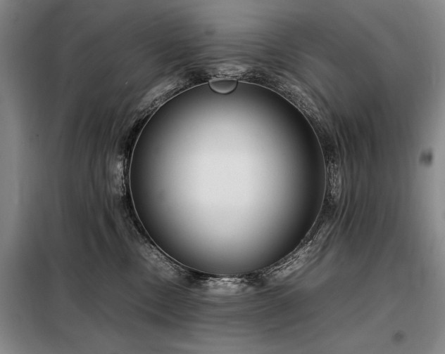 X0000098220378200805011240