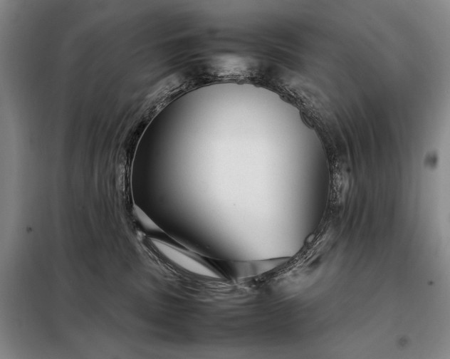 X0000098220379200805011240