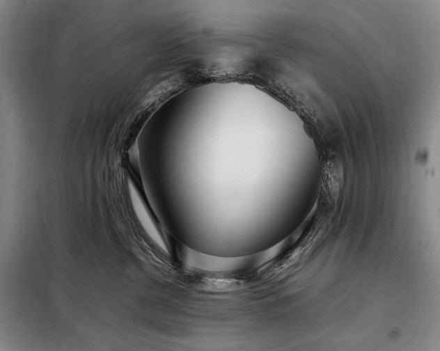 X0000098220380200805011240