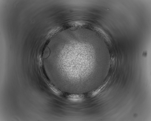 X0000098220381200805011240