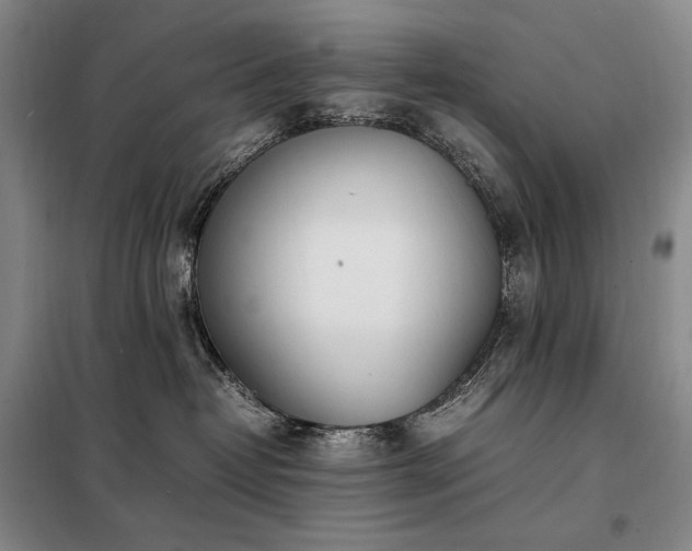 X0000098220382200805011240