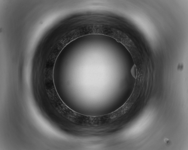 X0000098220383200805011240