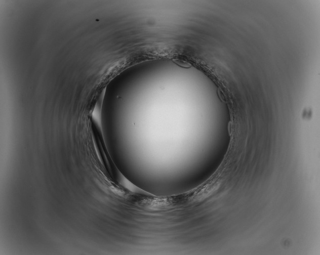 X0000098220384200805011240