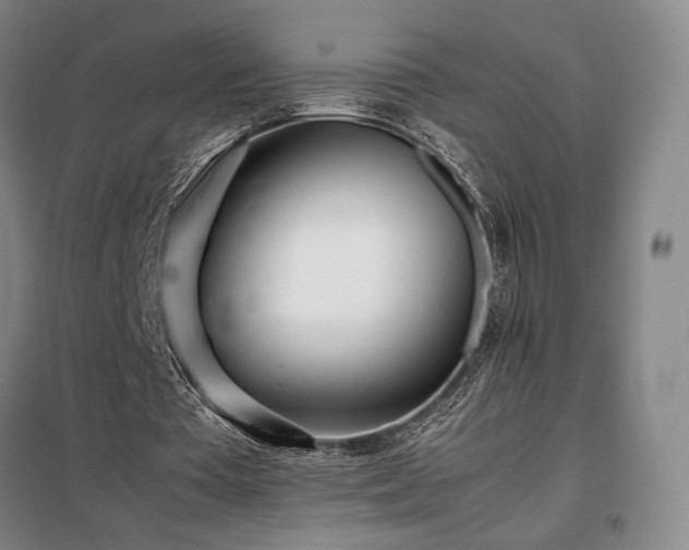 X0000098220385200805011239