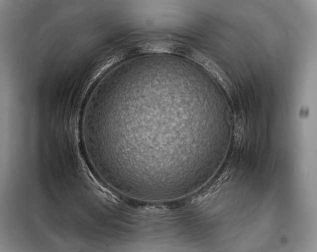 X0000098220386200805011239