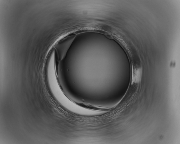 X0000098220387200805011239