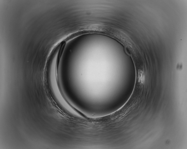 X0000098220388200805011239