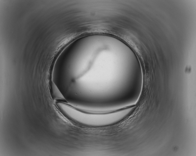 X0000098220389200805011239