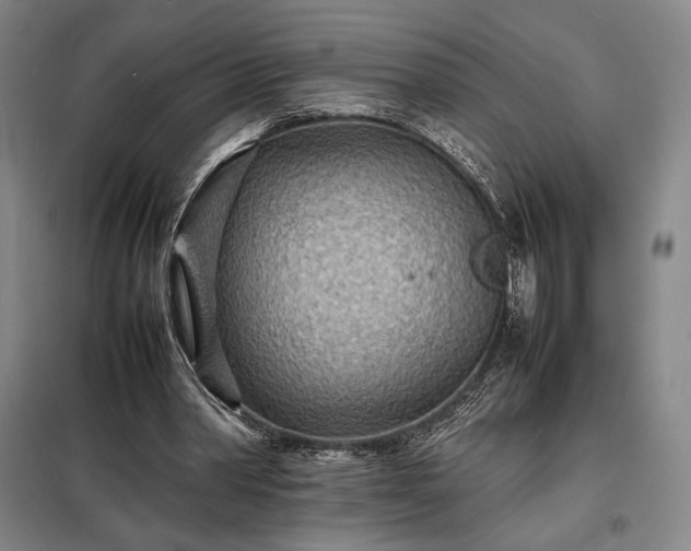 X0000098220390200805011239