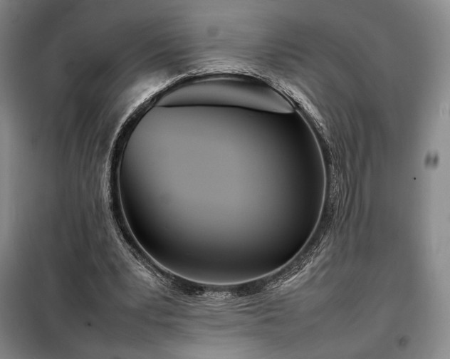 X0000098220391200805011239