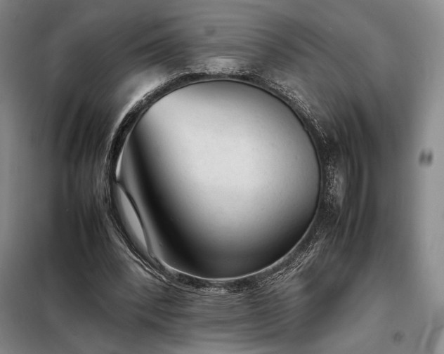 X0000098220392200805011239