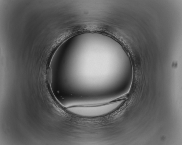 X0000098220393200805011239