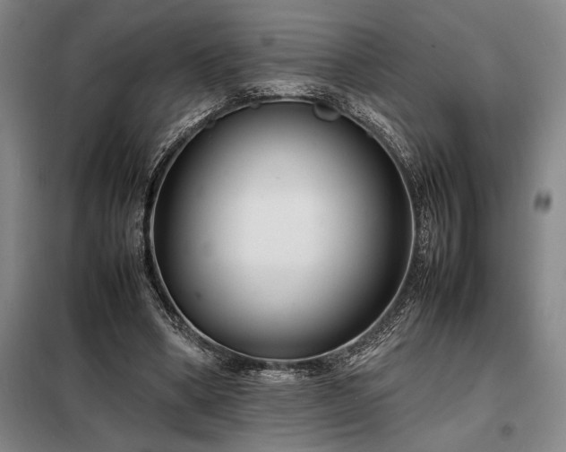 X0000098220394200805011239