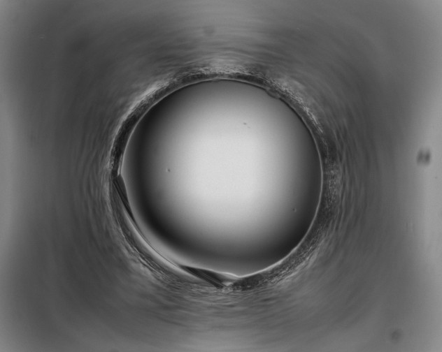 X0000098220395200805011239