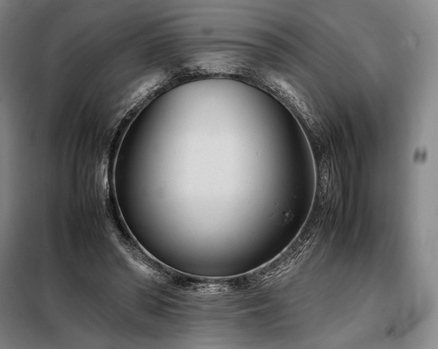 X0000098220398200805011239