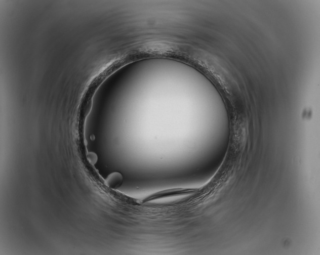 X0000098220399200805011239