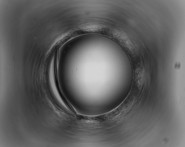 X0000098220400200805011239