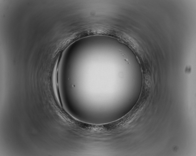 X0000098220401200805011239