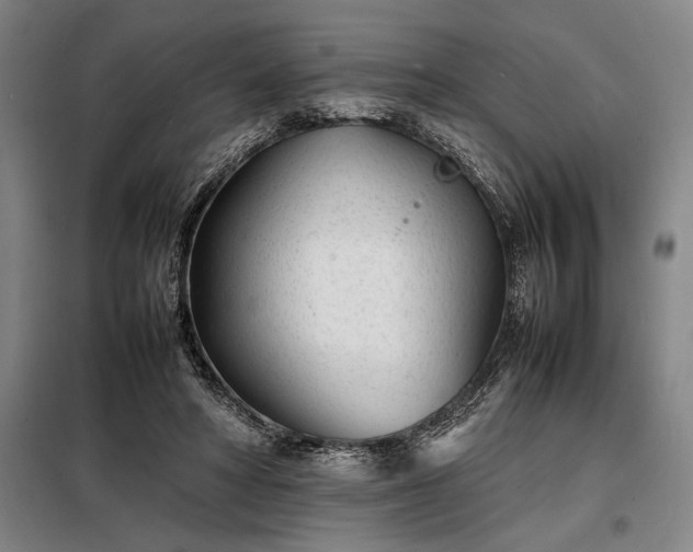 X0000098220402200805011239