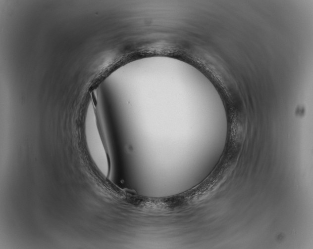 X0000098220403200805011239