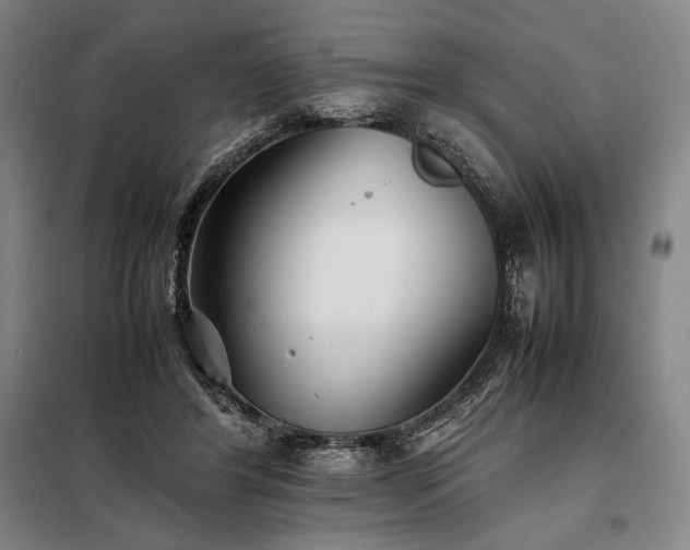 X0000098220404200805011239