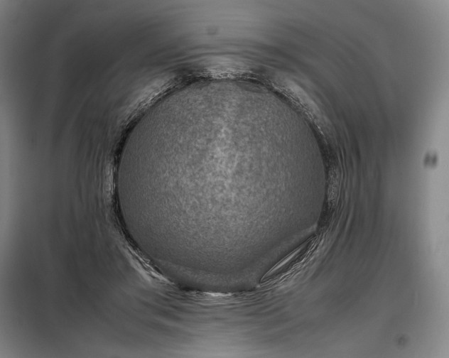 X0000098220405200805011239