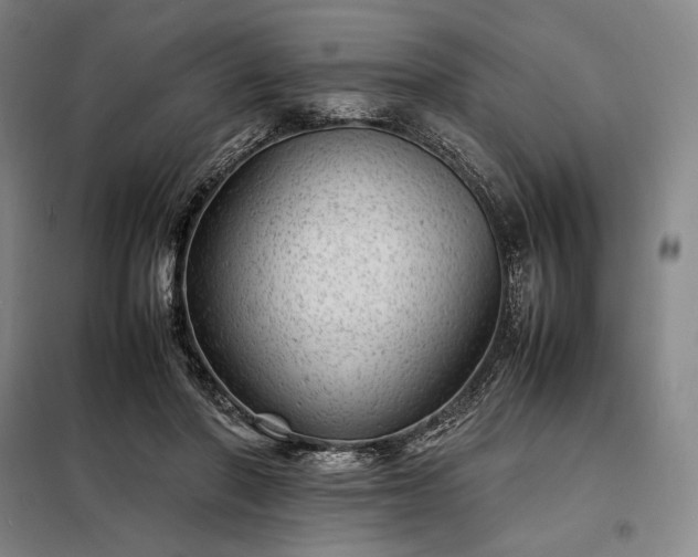 X0000098220406200805011239