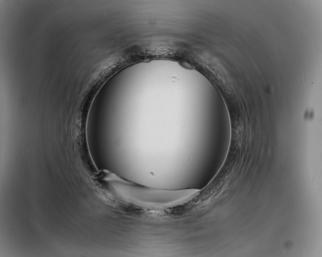 X0000098220407200805011239