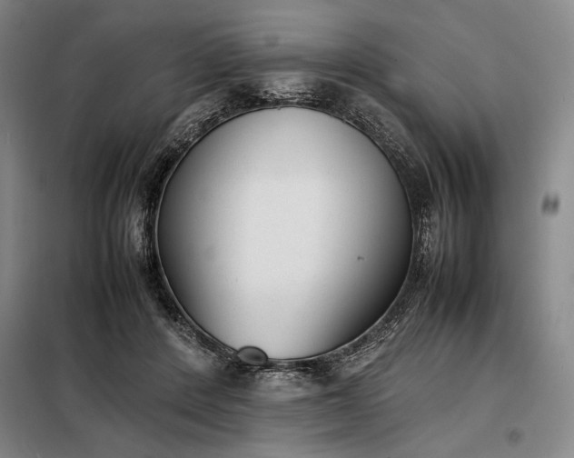 X0000098220408200805011239