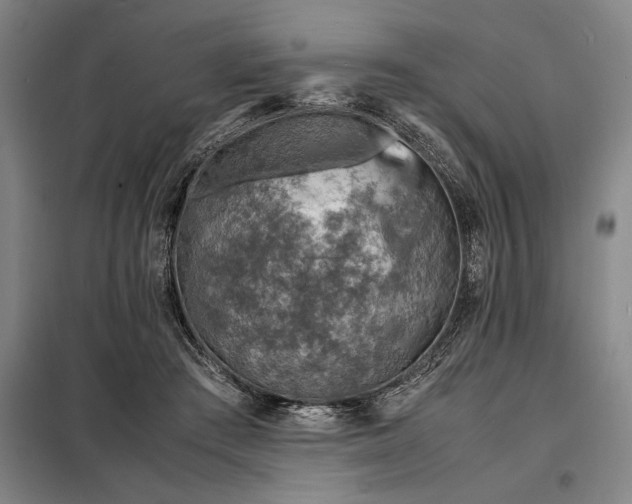 X0000098220409200805011239