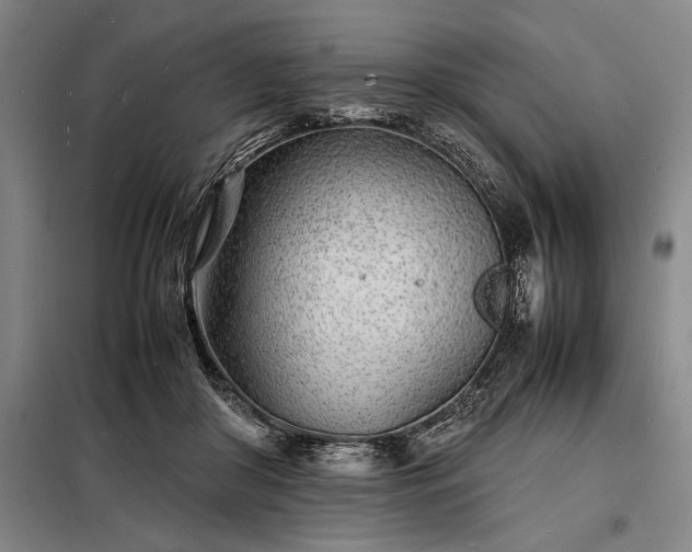 X0000098220410200805011239