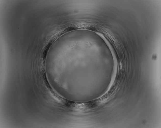 X0000098220411200805011239