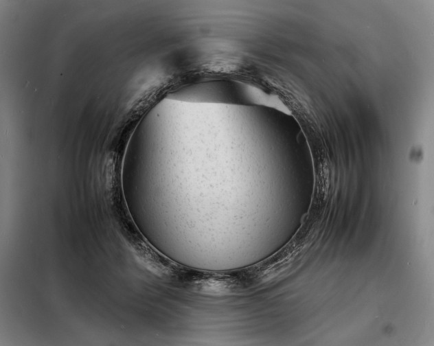 X0000098220412200805011239