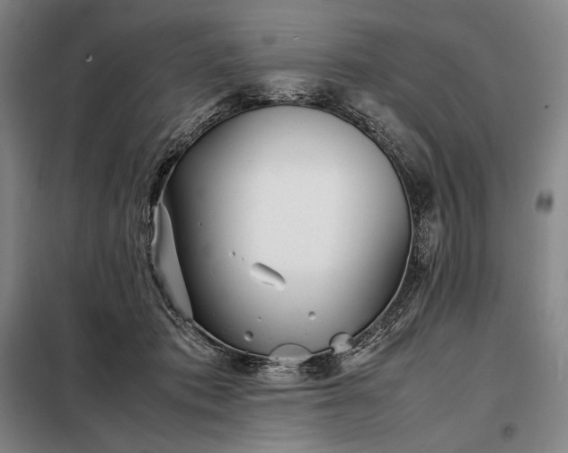 X0000098220413200805011239