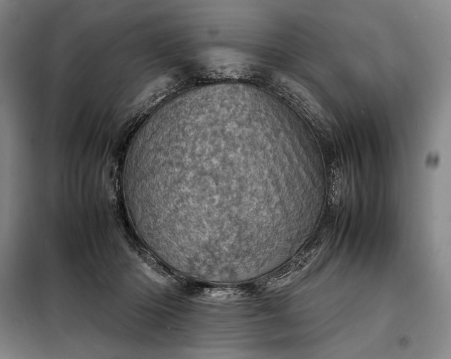 X0000098220414200805011239