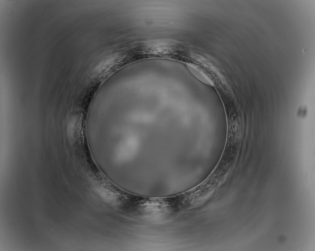 X0000098220415200805011239