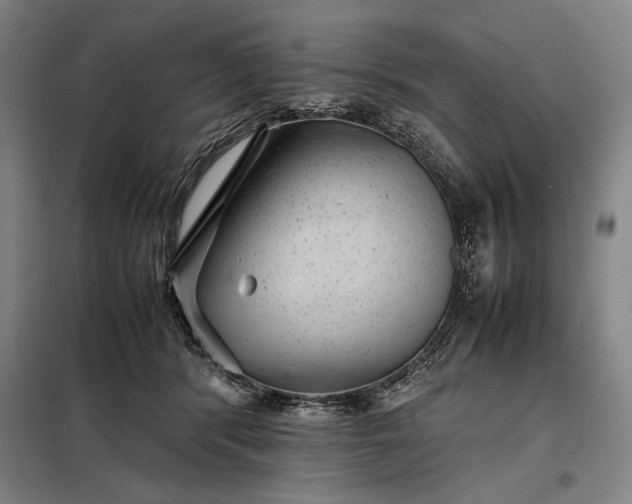 X0000098220416200805011239