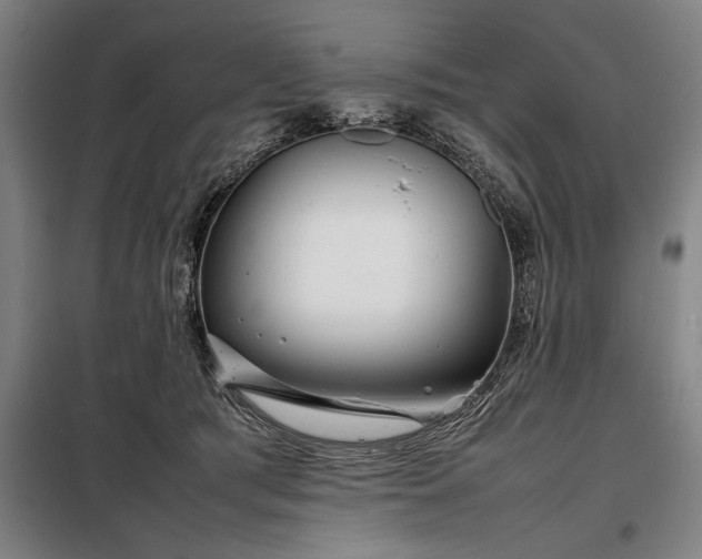 X0000098220417200805011239