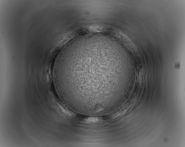 X0000098220418200805011239