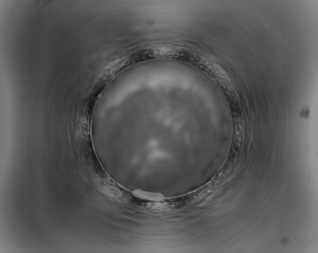 X0000098220419200805011239