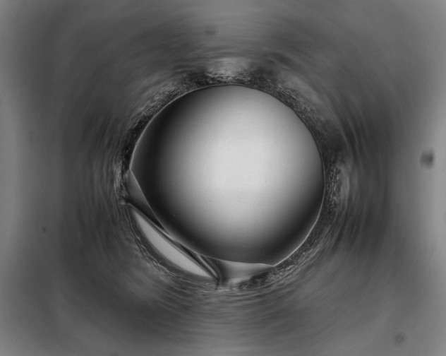 X0000098220420200805011239