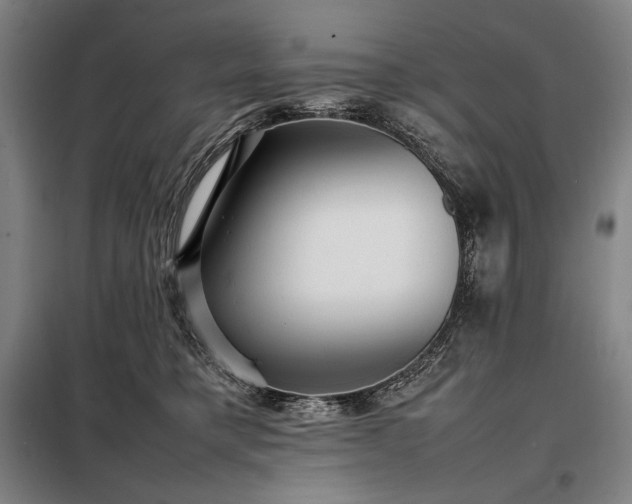 X0000098220421200805011239