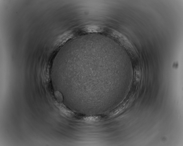 X0000098220422200805011239