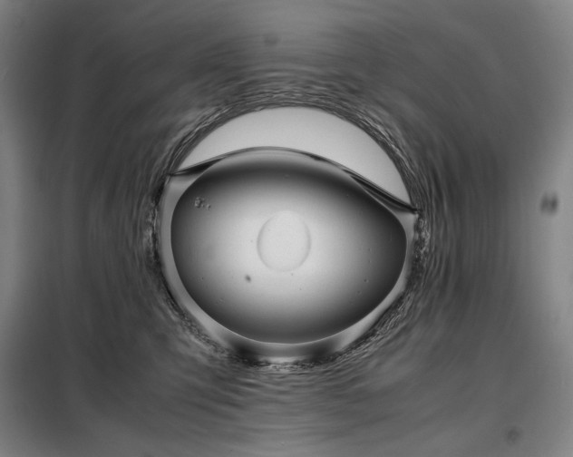 X0000098220423200805011238